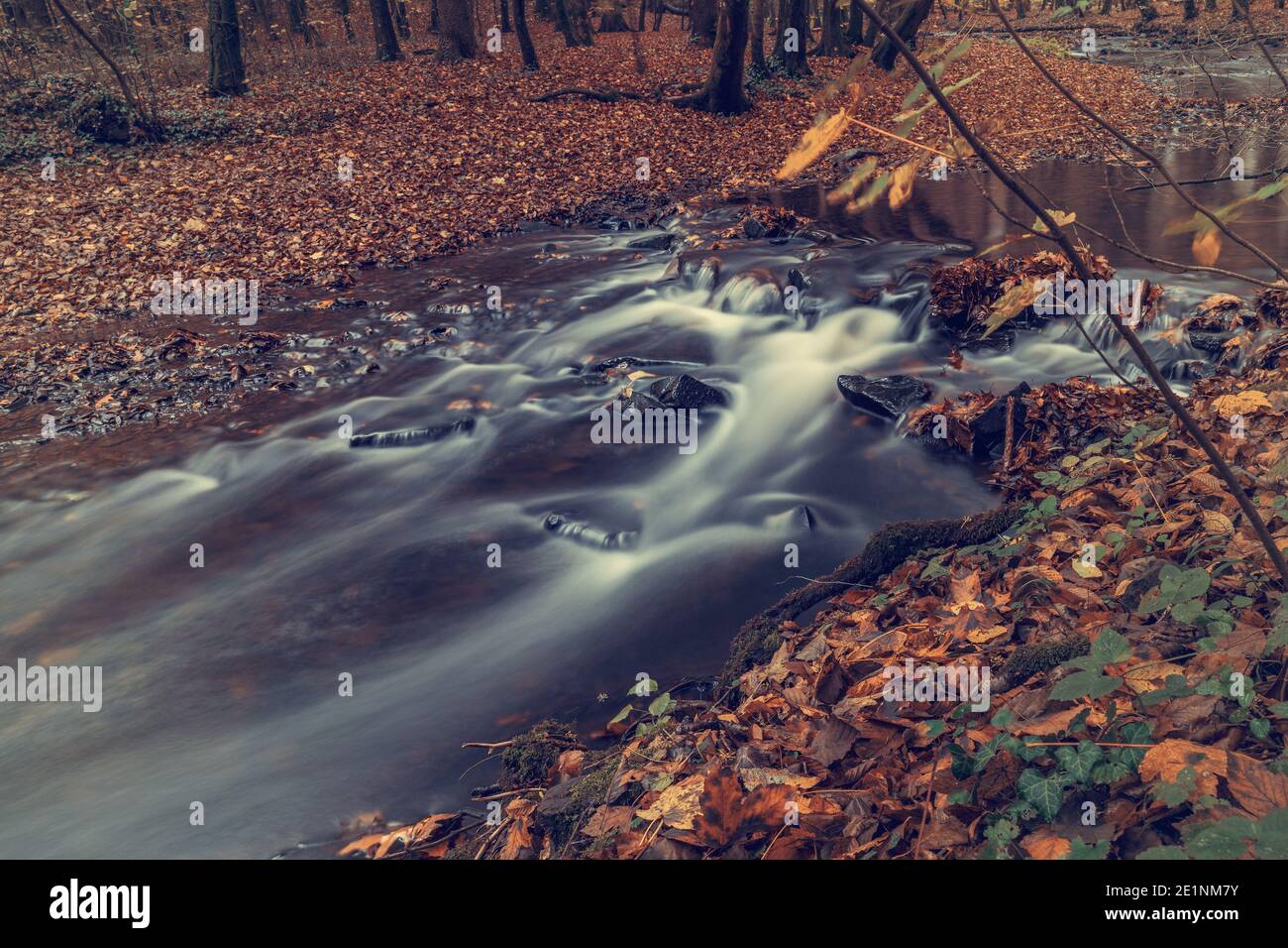 Beautiful autumn forest with river Stock Photo - Alamy