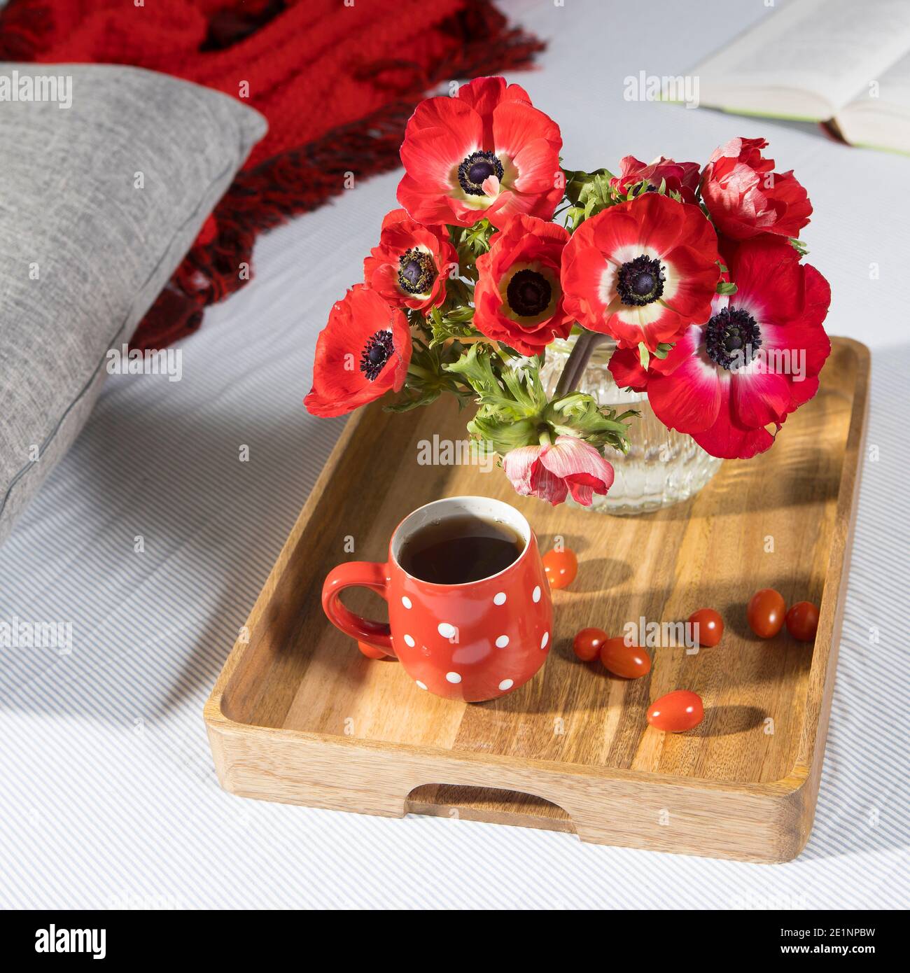 A bouquet of red anemones in a glass vase on a wooden tray on the bed. White polka dot cup with tea. Woolen plaid on a gray sheet. Morning Stock Photo