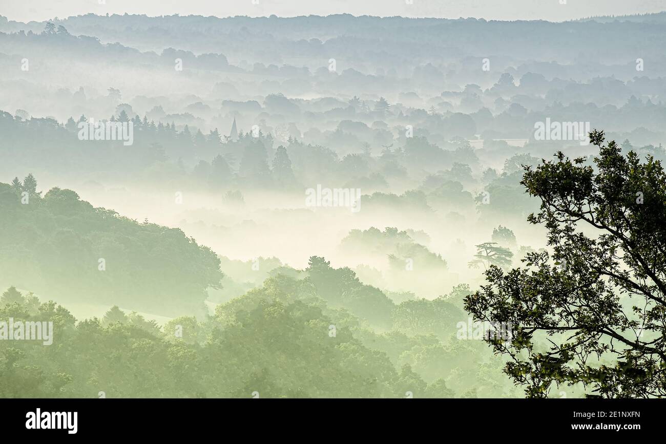 View of North downs Stock Photo