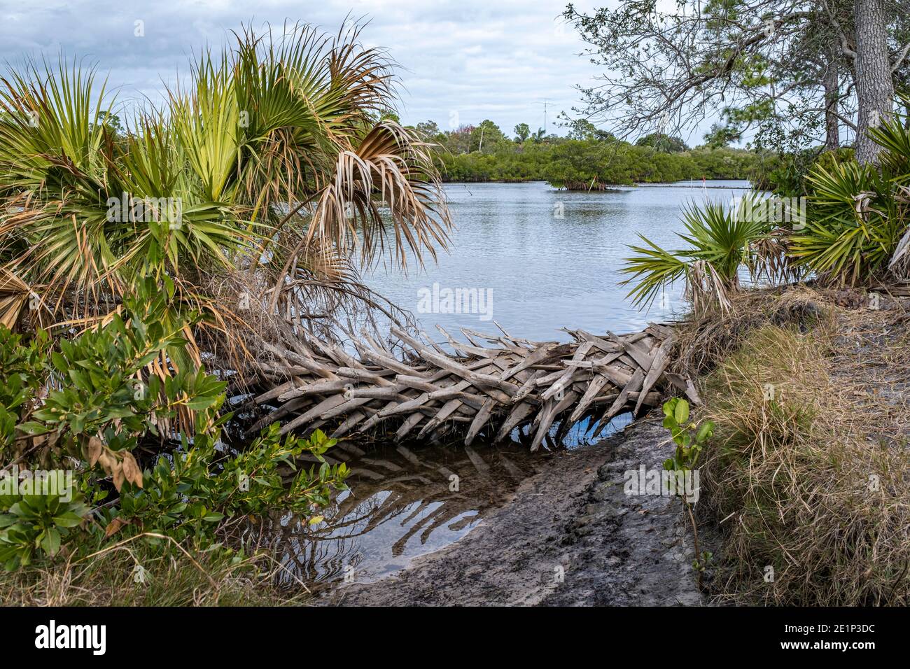 Sleepy Lagoon at Key Vista Nature Park - Holiday, Florida Stock Photo
