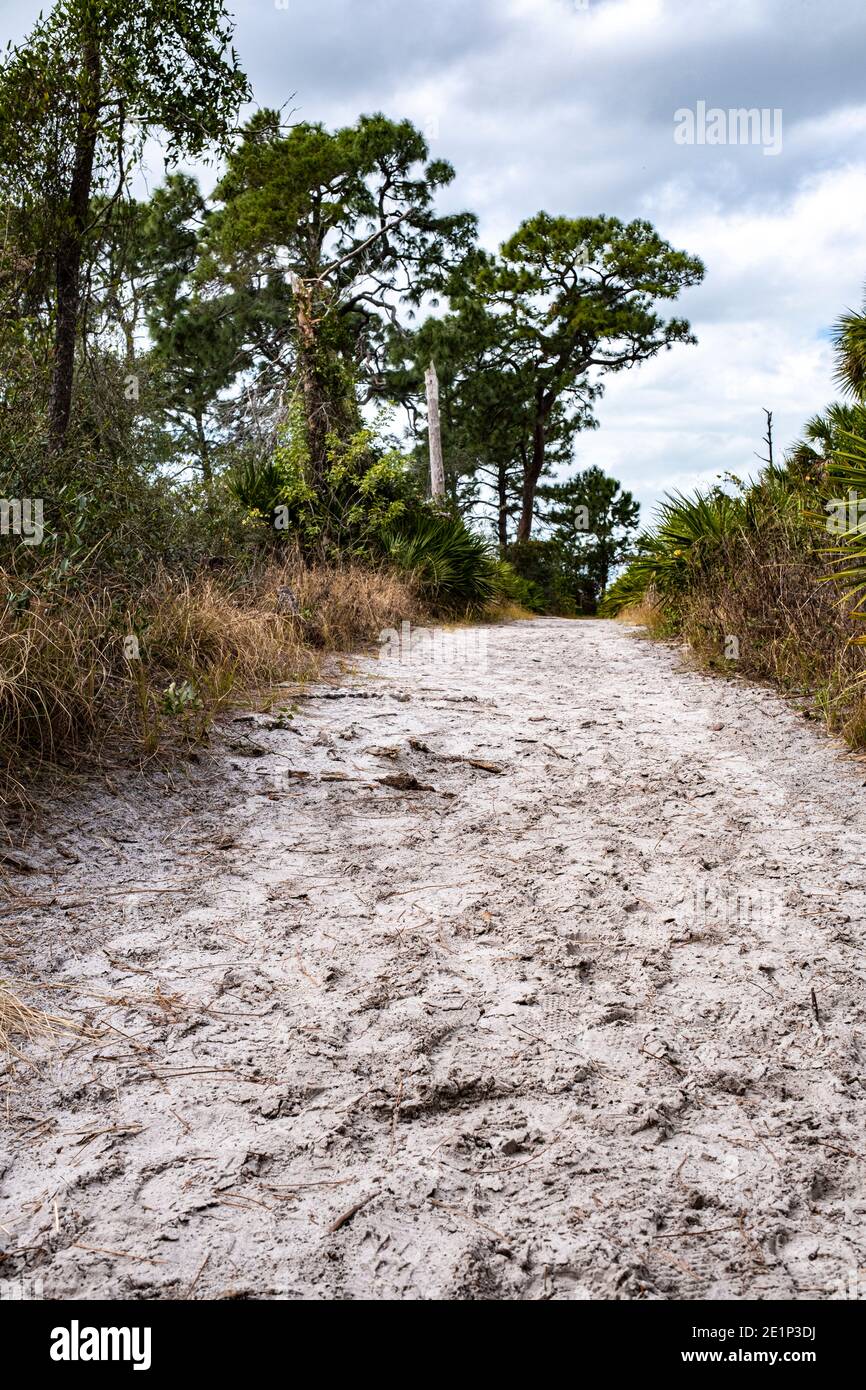 Sandy Trail at Key Vista Nature Park Stock Photo