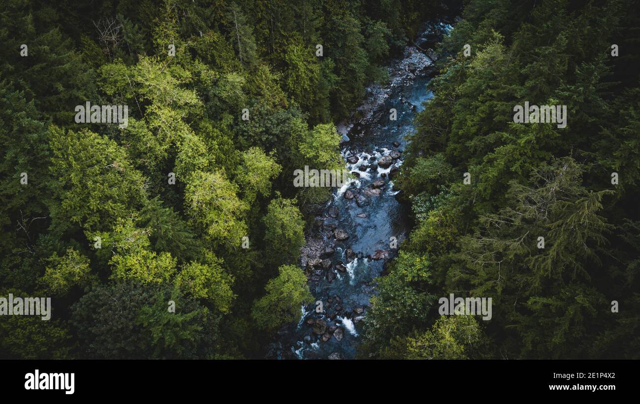 Magical view small forest river hi-res stock photography and images - Alamy
