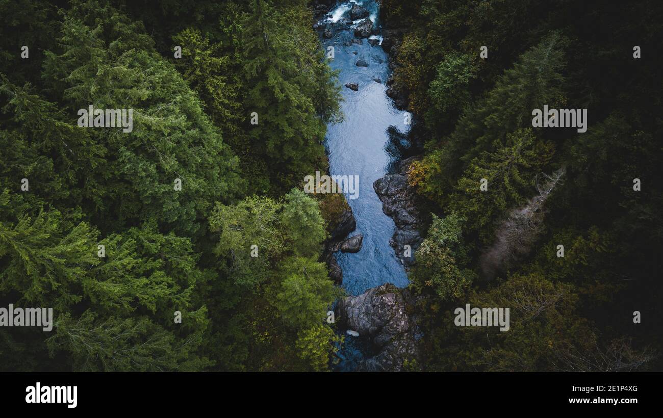 Aerial view of calm river and forest in Washington state Pacific NW Stock Photo