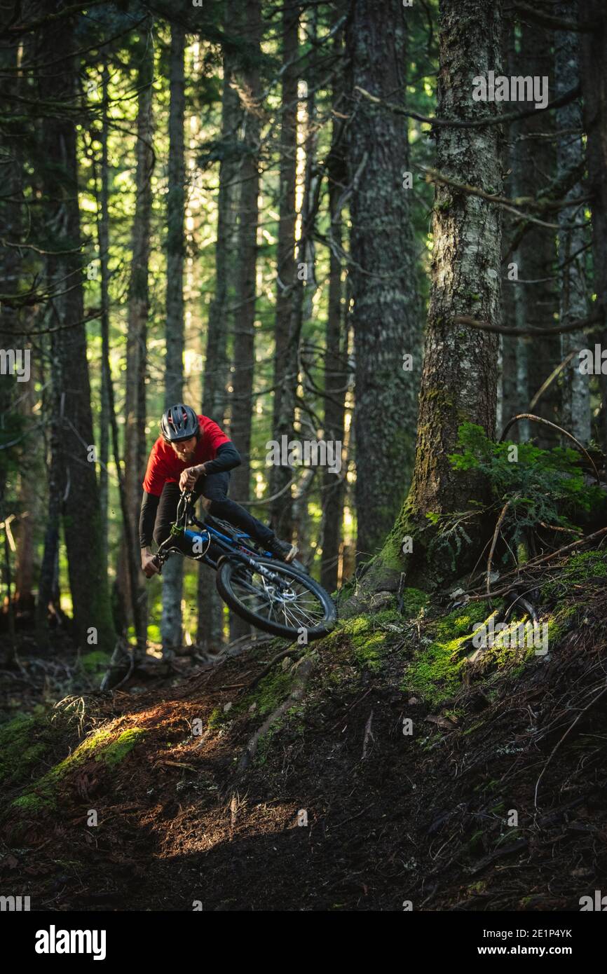 Biker jumping roots hi-res stock photography and images - Alamy