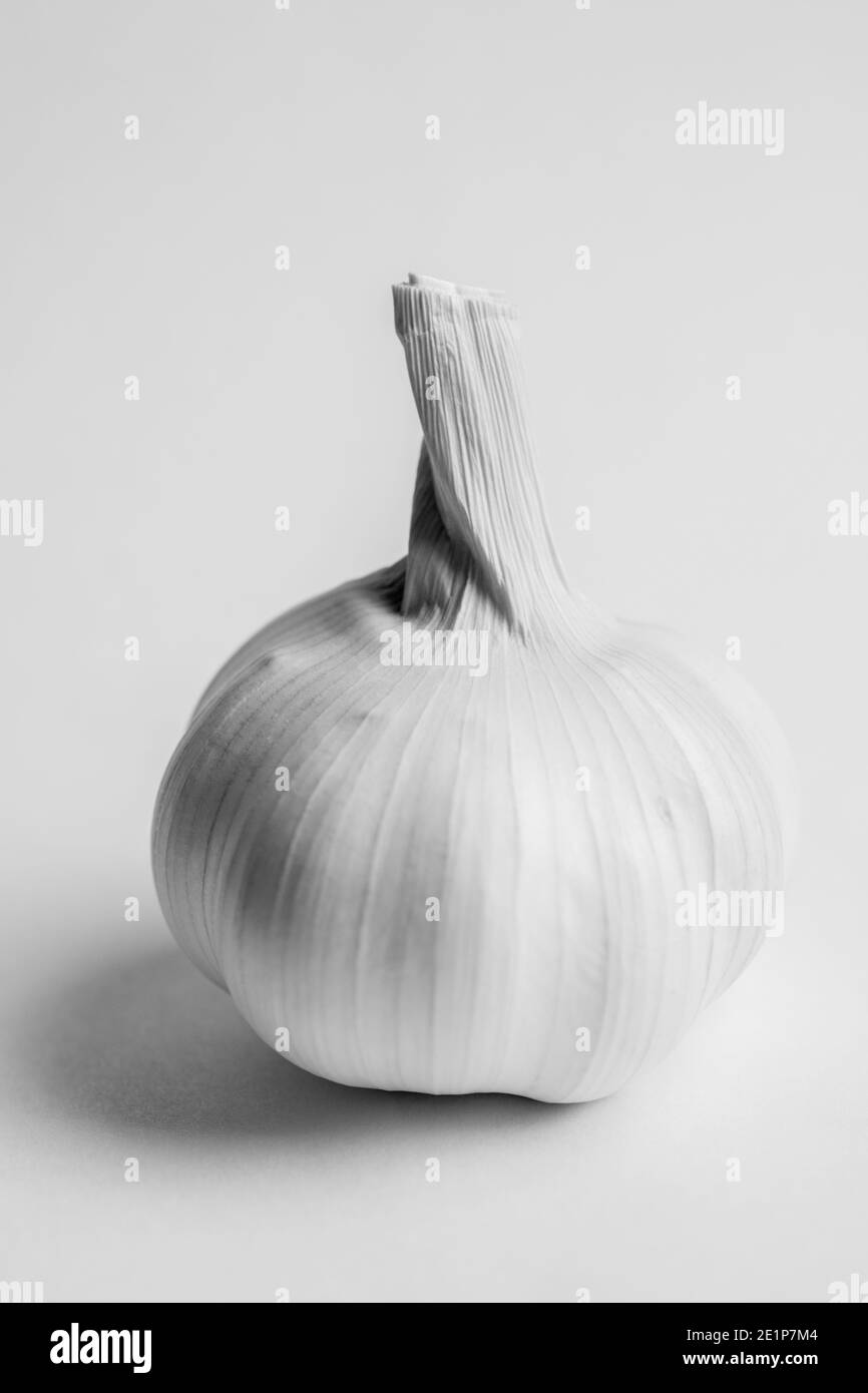 garlic in high key black and white Stock Photo Alamy