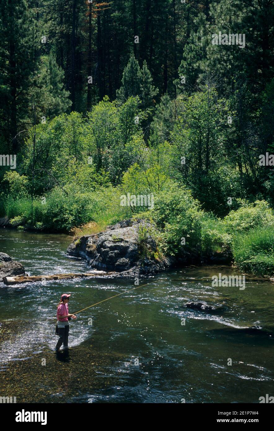 Fishing the Powder River, Elkhorn National Scenic Byway, Wallowa