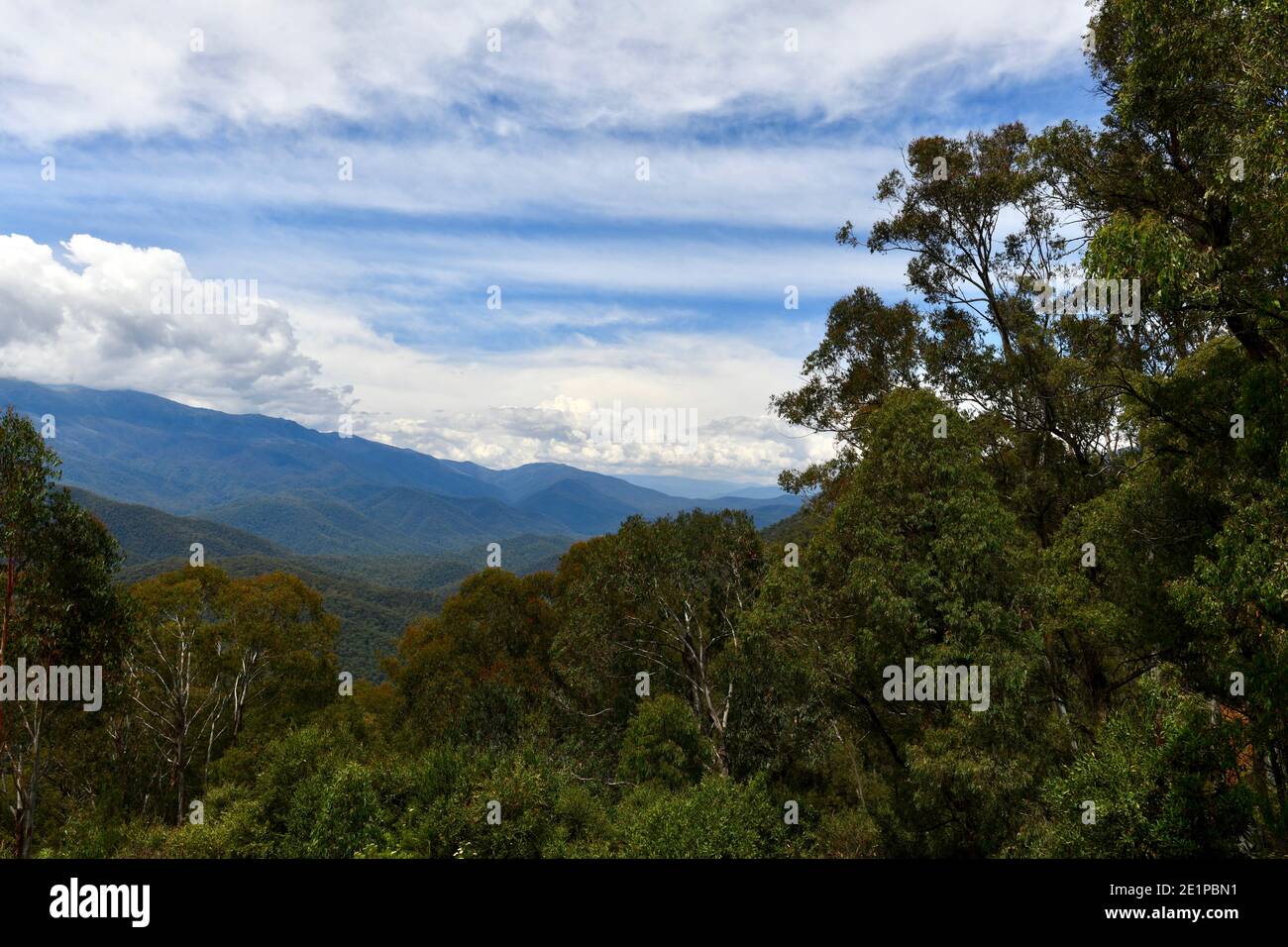 A view from Scammells Lookout on the Alpine Way in Australia Stock Photo