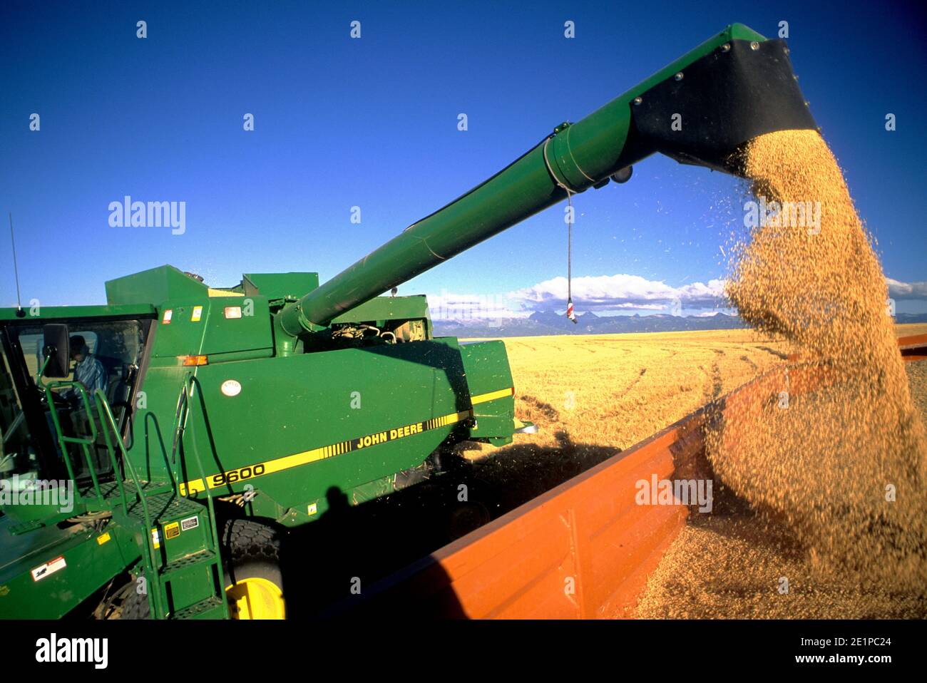 Harvesting barley in eastern Idaho Stock Photo