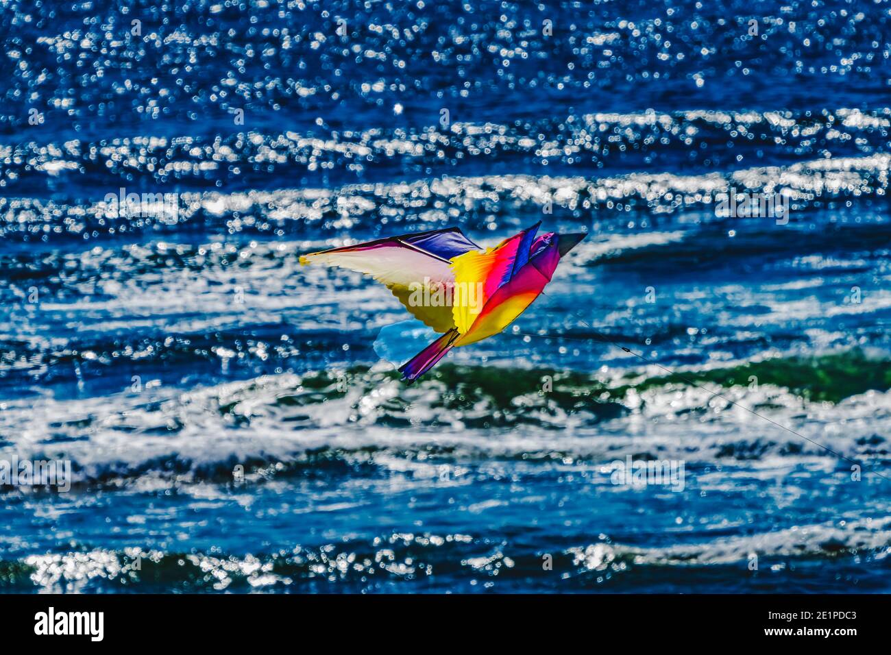 Colorful Bird Kite Blue Waves Canon Beach Clatsap County Oregon