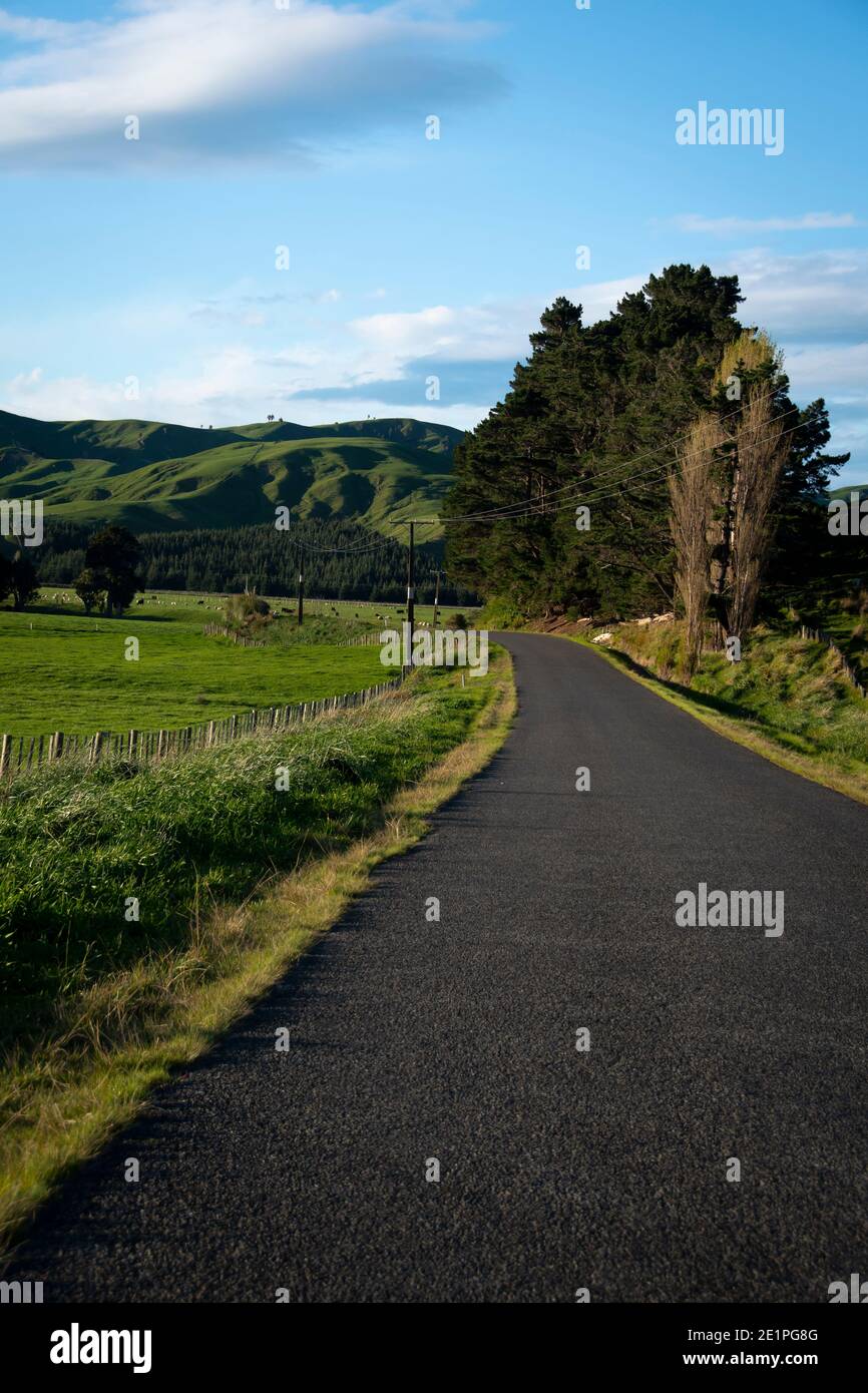 Country road through farmland near Herbertville, Tararua Distirct, North Island, New Zealand Stock Photo