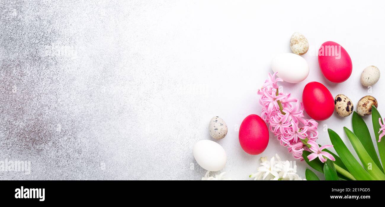 Spring composition. Easter eggs, pink and pink hyacinth on stone background. Horizontal banner. Copy space for text - Image Stock Photo