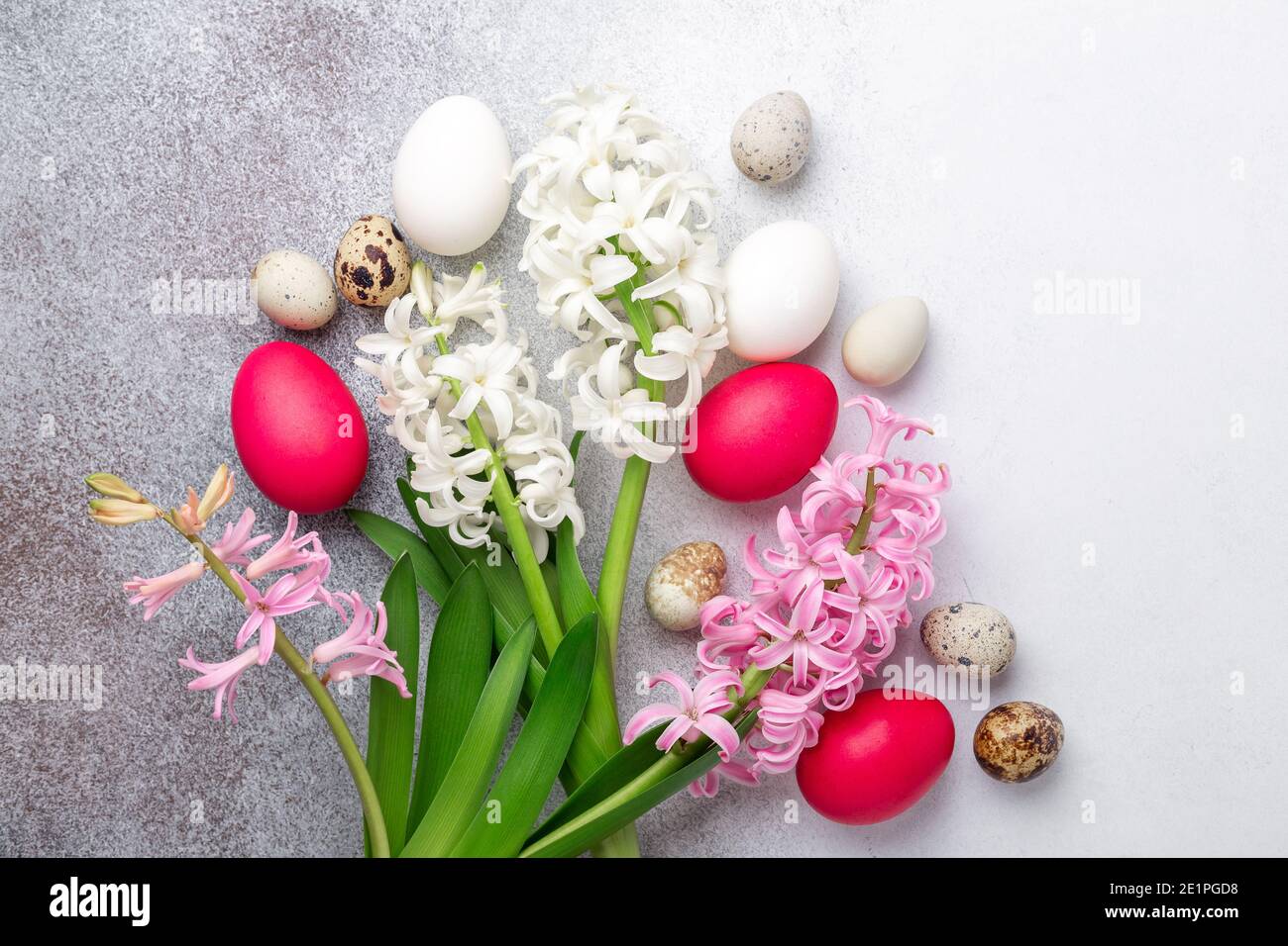 Bright Easter composition with quail, easter eggs, pink and white hyacinth on stone background. Flat lay, top view. Easter concept - Image Stock Photo