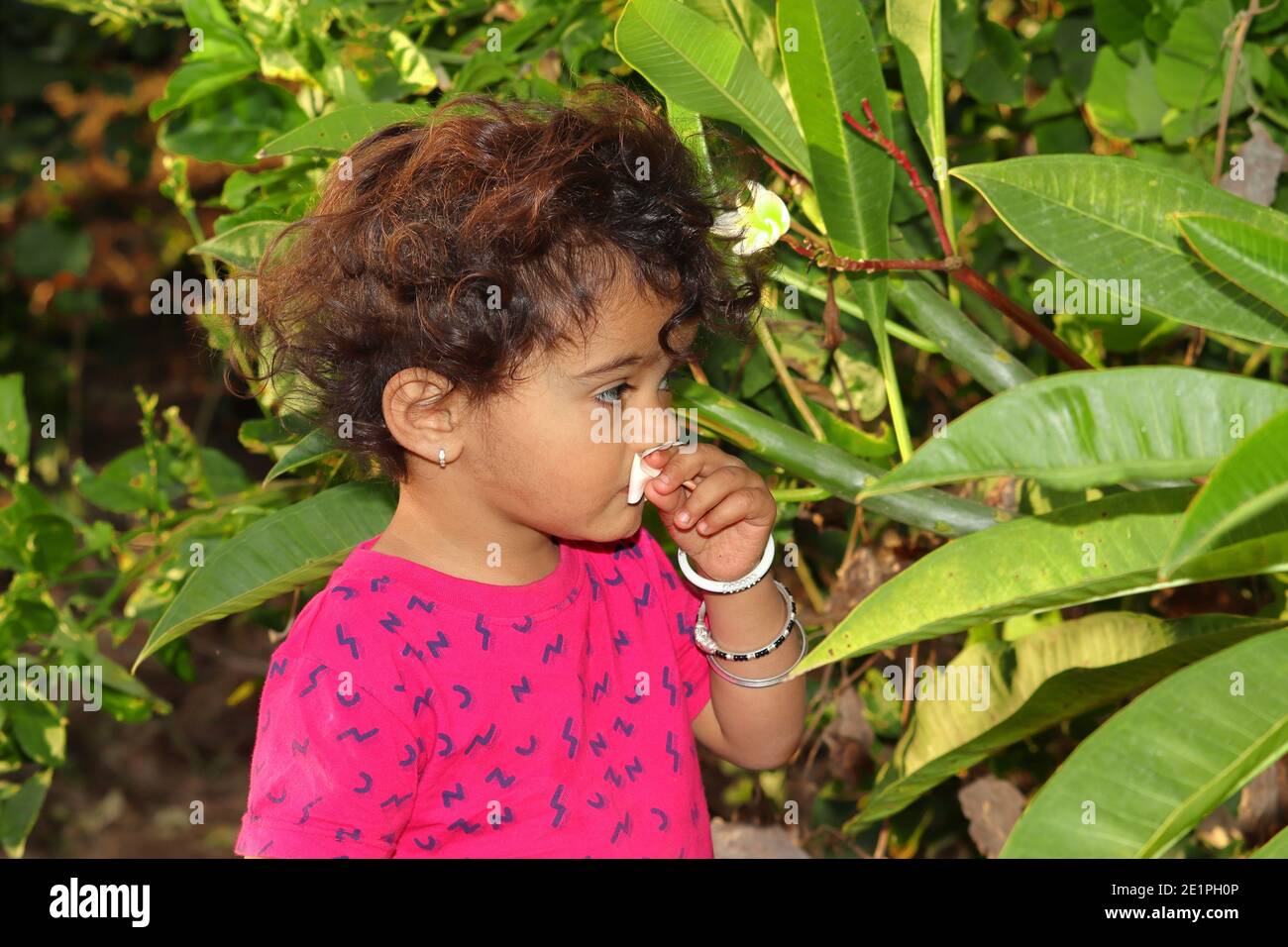A beautiful Indian child smells a white jasmine or champa flower in the garden, india Stock Photo