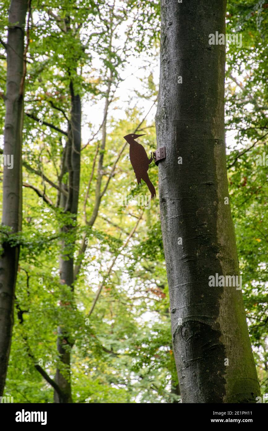 Metal woodpecker screwed to a tree, seen in the Teutoburg Forest near Bielefeld. Stock Photo