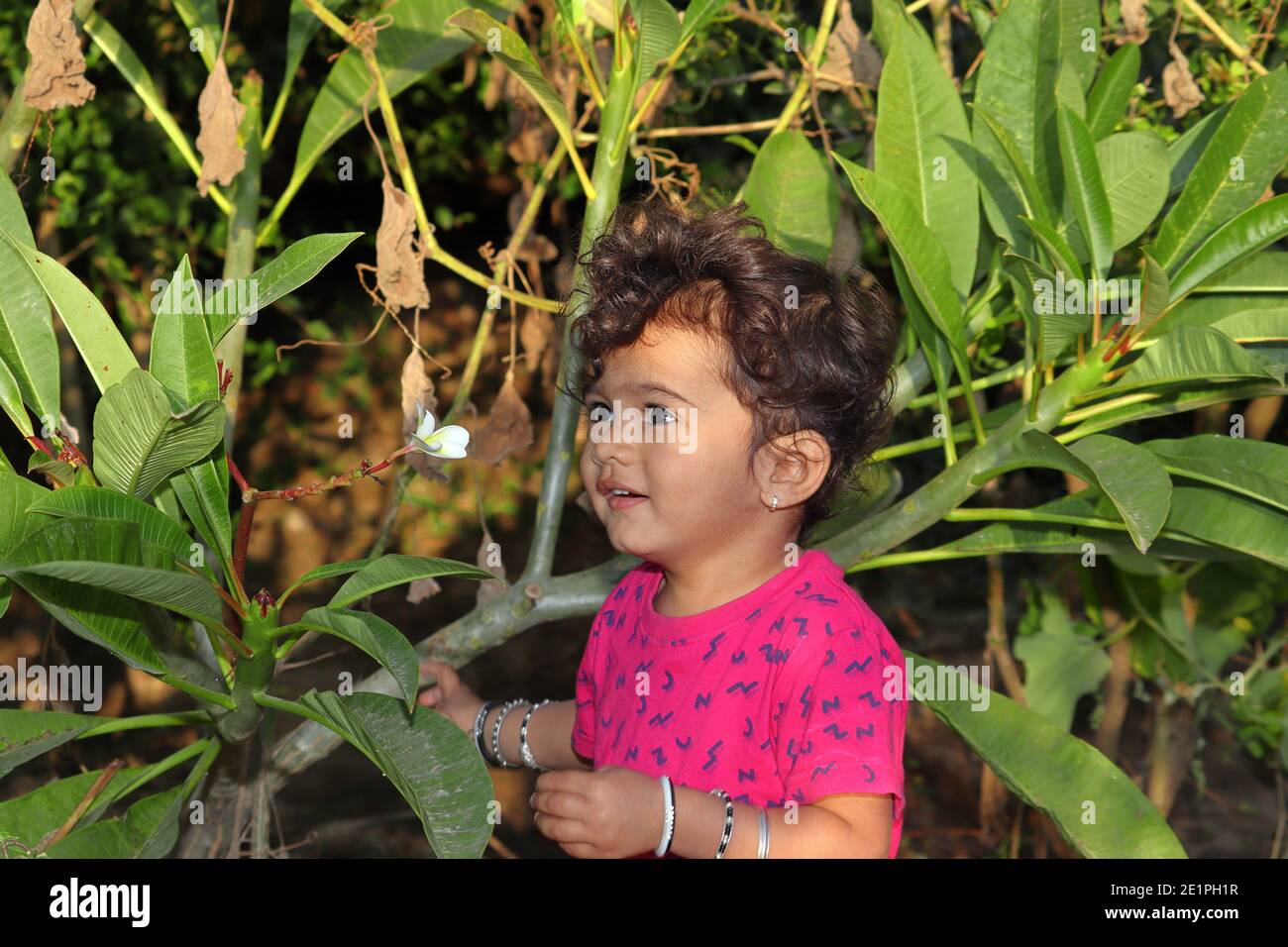 A beautiful Indian child smiles at the garden looking at the white jasmine or Champa flower, india Stock Photo