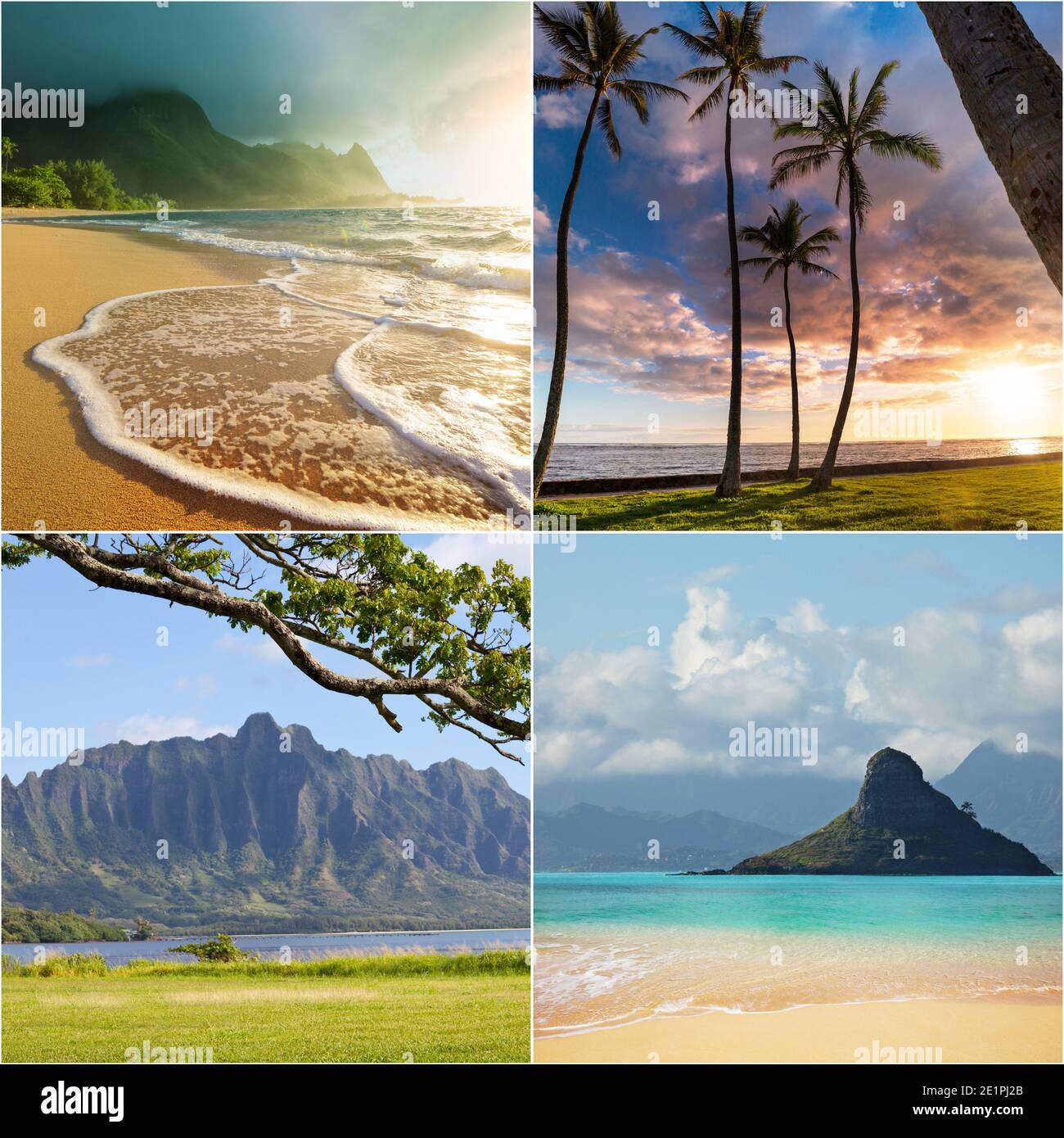 Hawaiian beautiful landscapes. Tropical vacations concept collage Stock Photo - Alamy