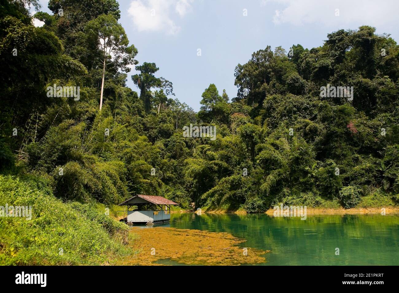 The shore of the picturesque Lake Cheow Lan and a small houseboat on the water. Thailand. Stock Photo