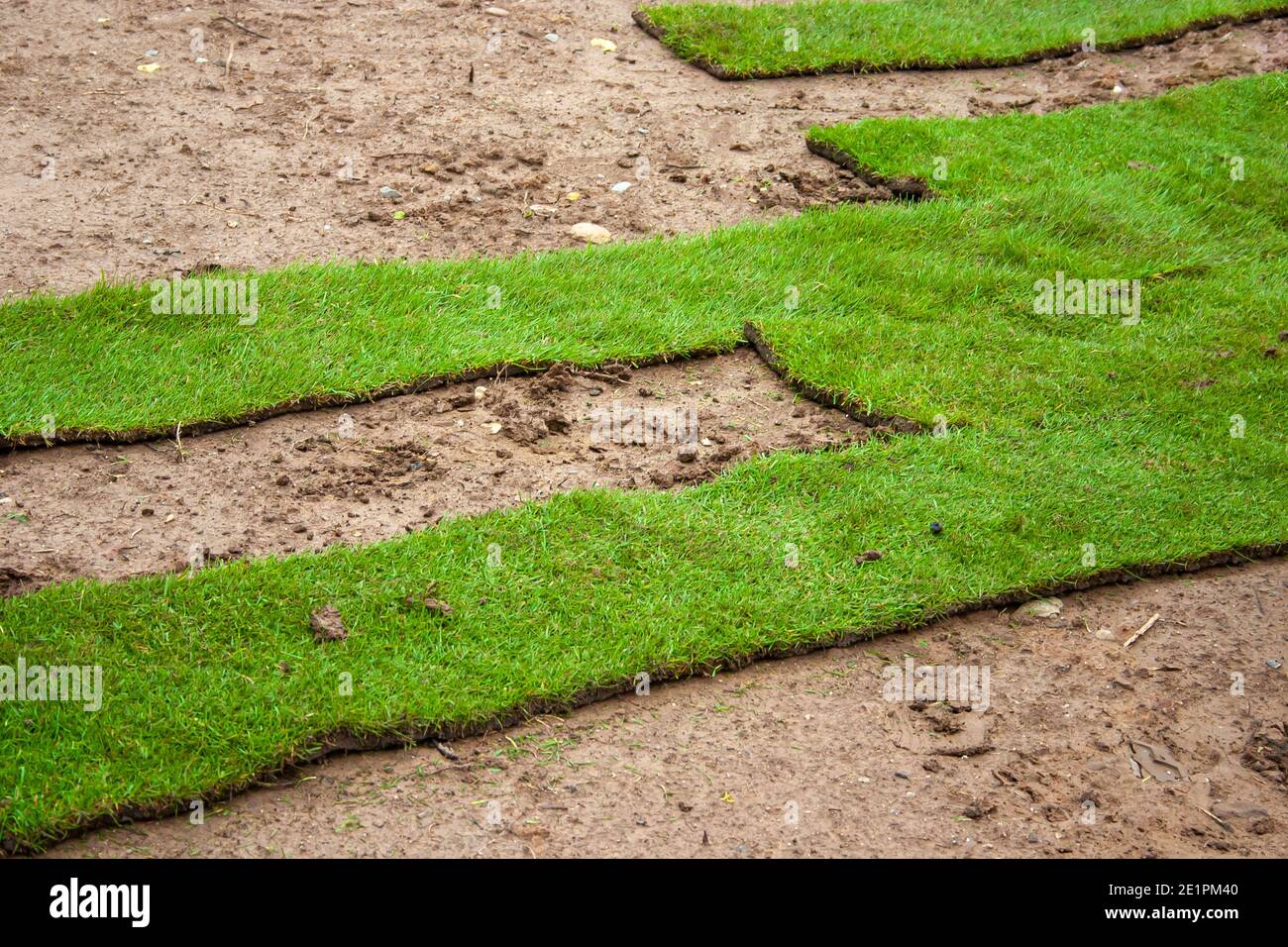 Turf - Laying green turf using rolled turf Stock Photo