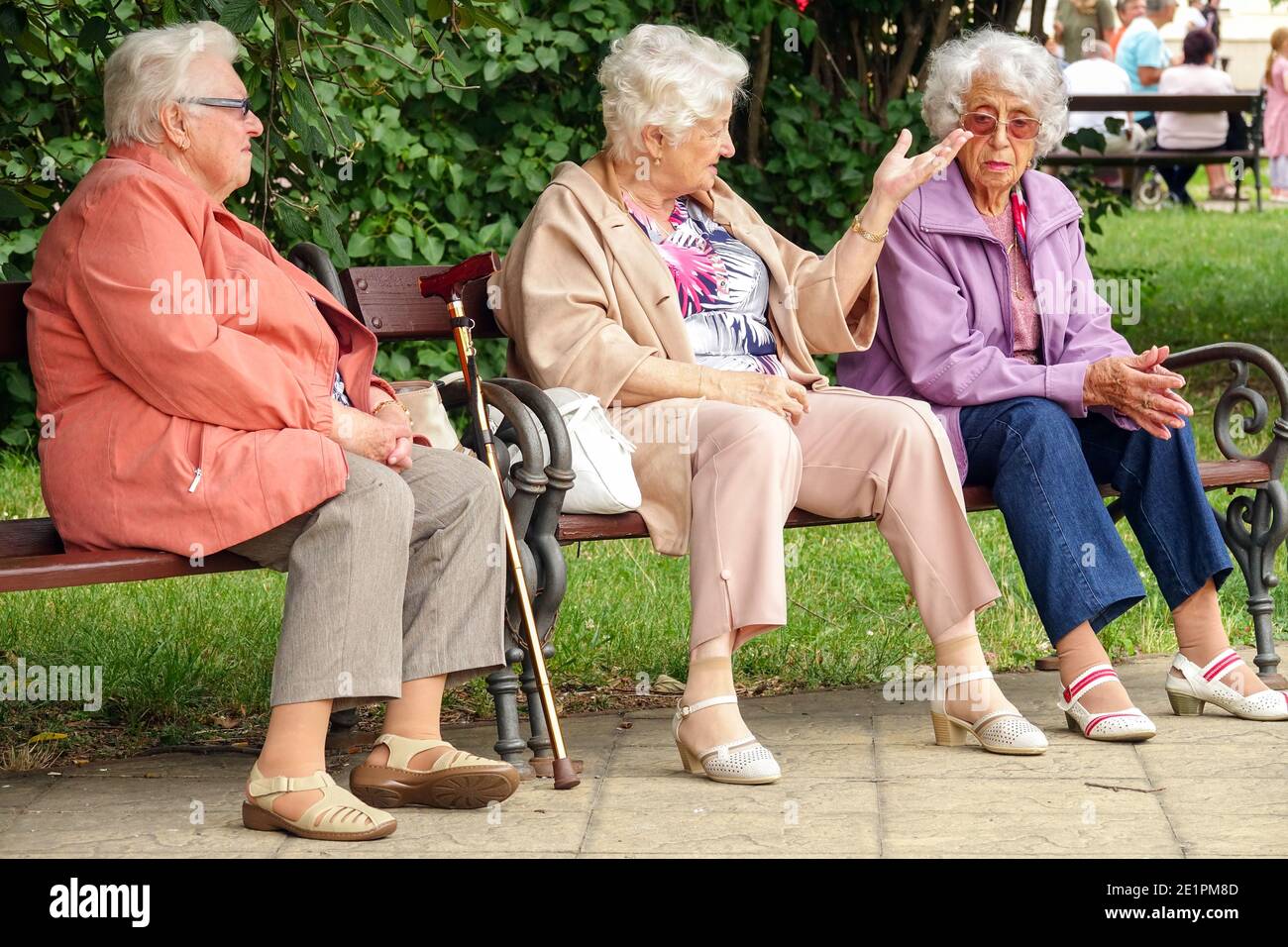 Three elderly women sitting on a bench in a city park Seniors ageing, Old women bench, old people, seniors ageing population senior friends outdoors Stock Photo