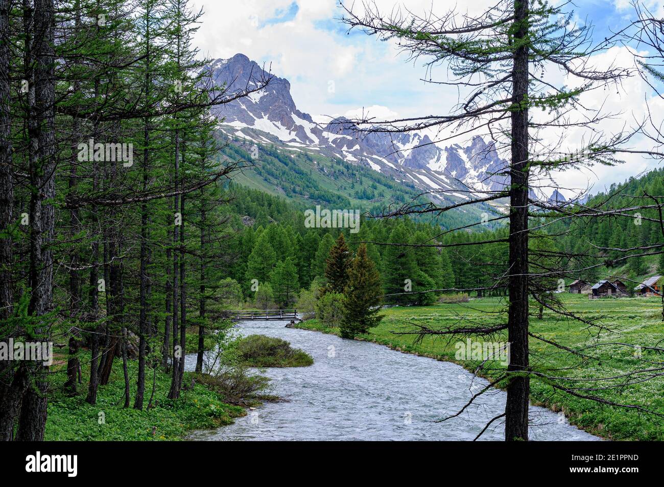 Mountain landscape in summer, a river flows between the larch trees. In the background, a group of chalets. Stock Photo