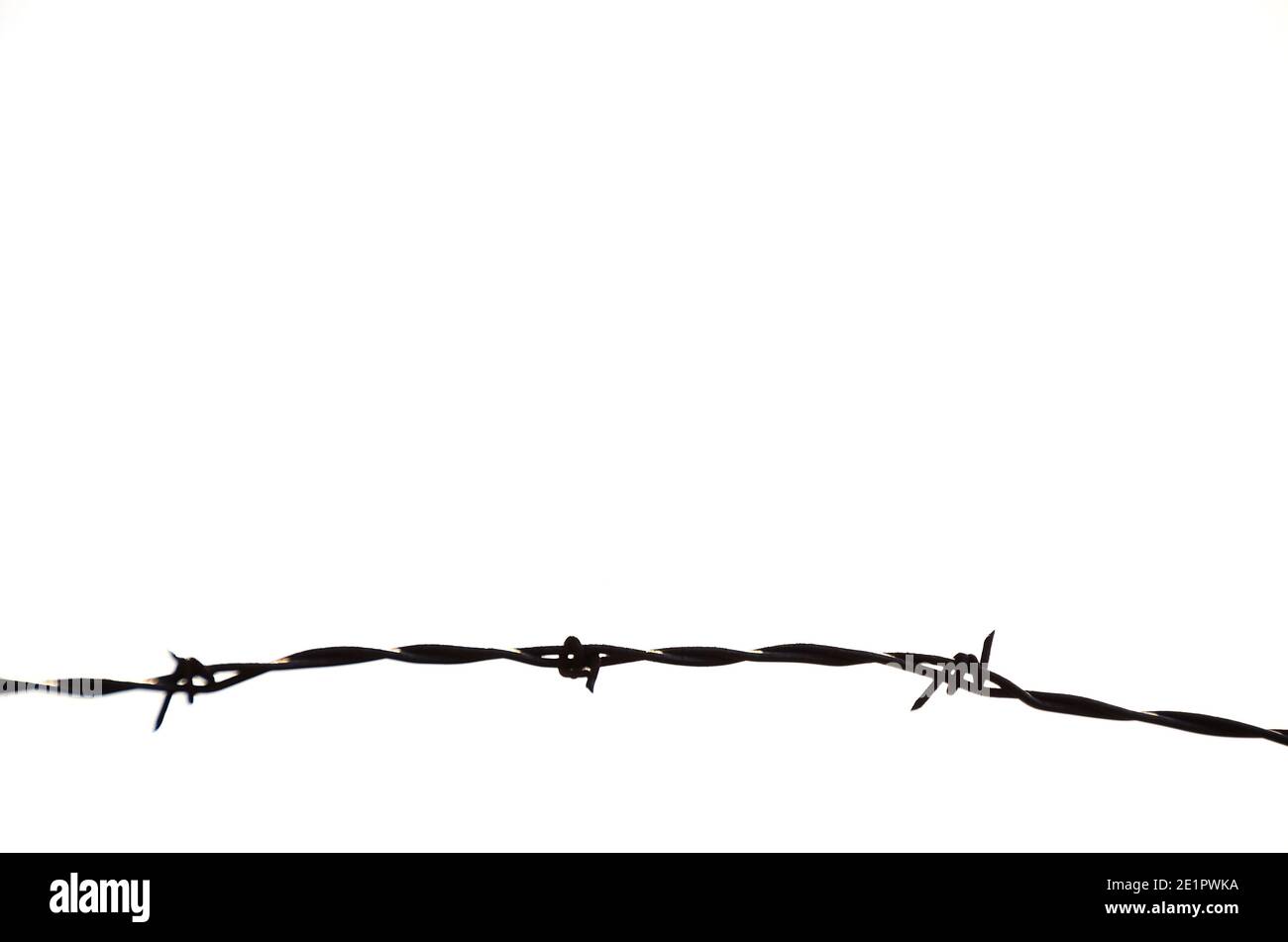 barbed wire on white background Stock Photo