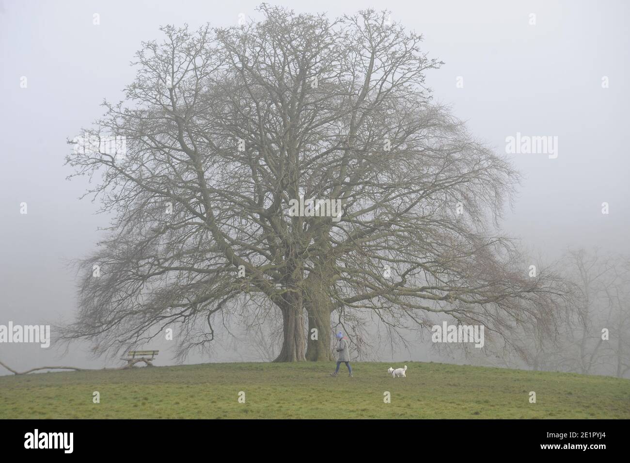 Hampstead Heath, London. 9th Jan 2021. Misty morning on Hampstead Heath Credit: JOHNNY ARMSTEAD/Alamy Live News Stock Photo