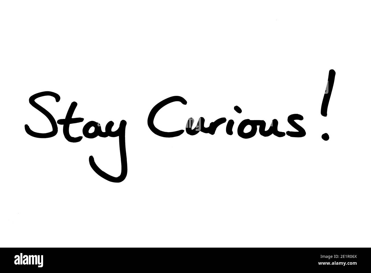 Stay Curious! handwritten on a white background. Stock Photo