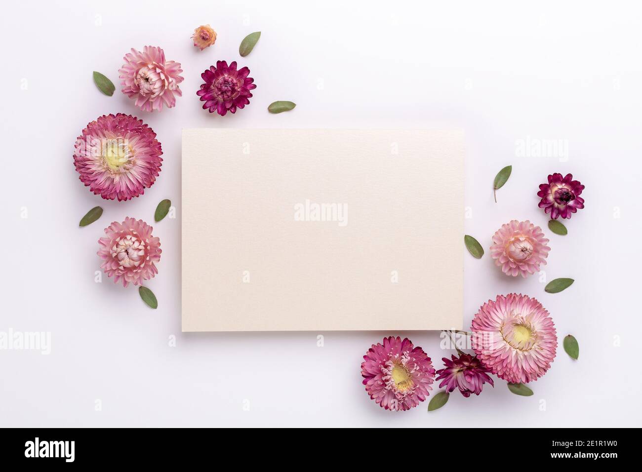 Flower composition. Blank of paper and frame made of dry flowers on white background. Flat lay. Top view. Copy space - Image Stock Photo