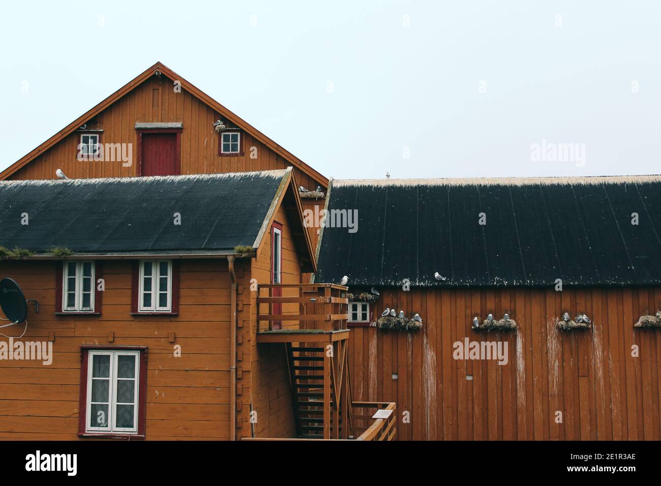 Houses occupied by birds in a Norwegian town. Stock Photo