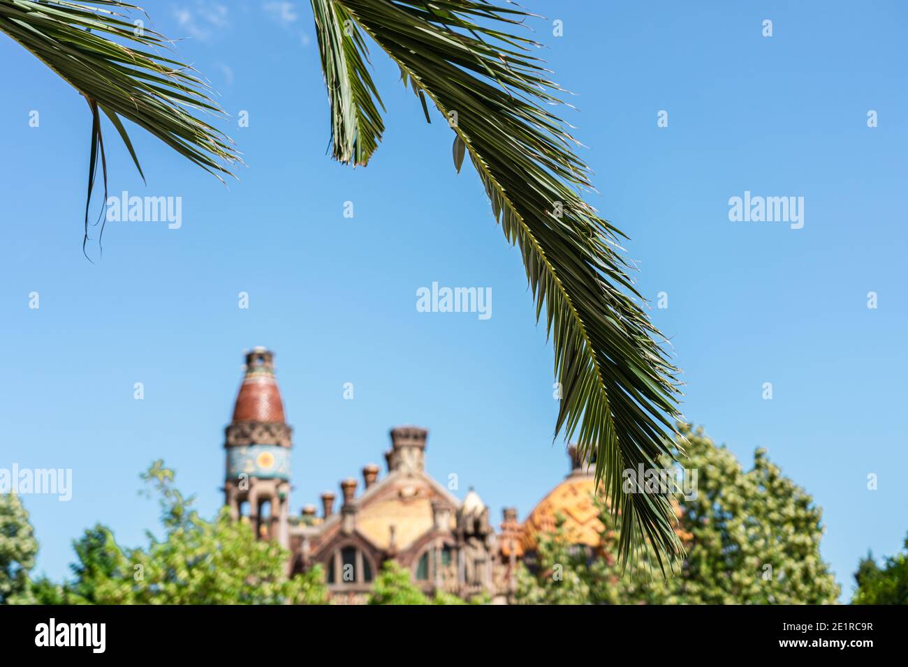 Orange Trees In Barcelona City, Spain Stock Photo Alamy