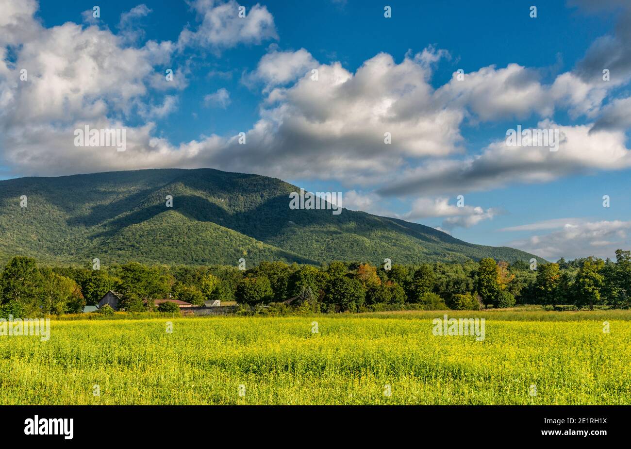 Morning scene of the Taconic Mountains from Manchester, Vermont. Stock Photo