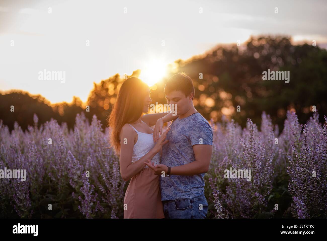 Happy couple in love hugs, kisses at sunset near a blooming sage field. A young man passionately looks into the eyes, holding a beautiful girl by the Stock Photo