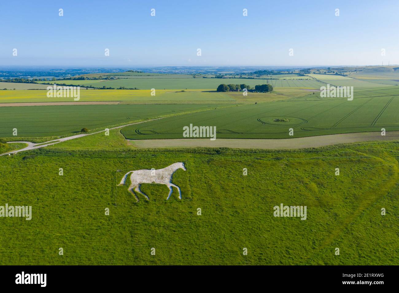 The Devizes White Horse. A chalk hill figure on an escarpment at