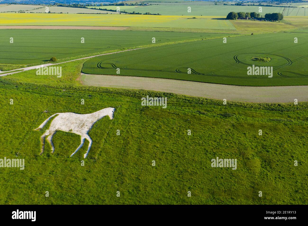 Devizes horse roundway hires stock photography and images Alamy