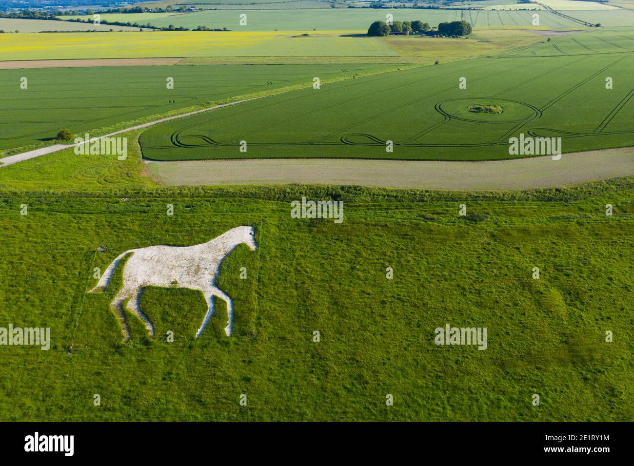 The Devizes White Horse. A chalk hill figure on an escarpment at