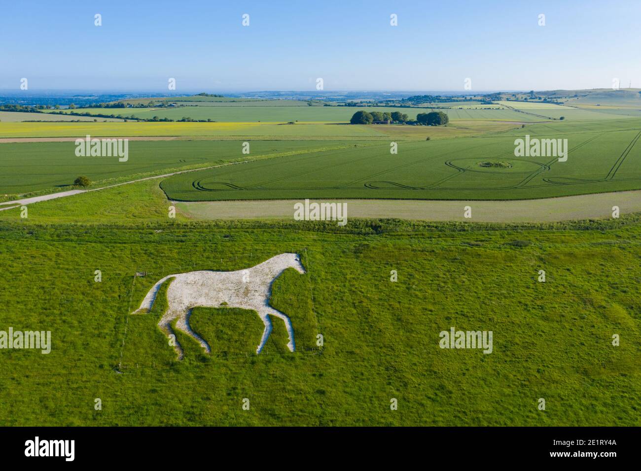 Devizes horse roundway hires stock photography and images Alamy