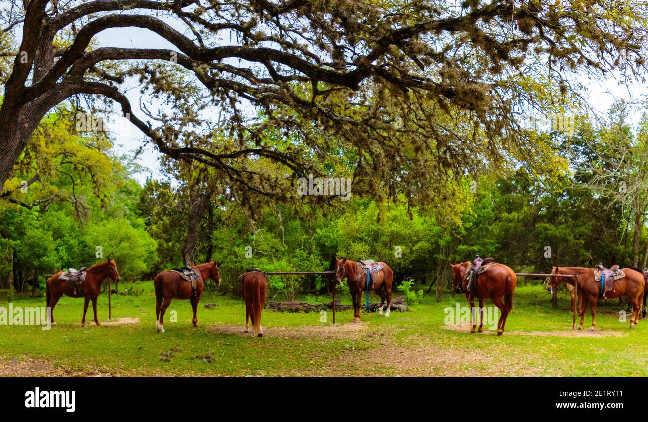 Mayan Dude Ranch Bandera, Texas Stock Photo Alamy