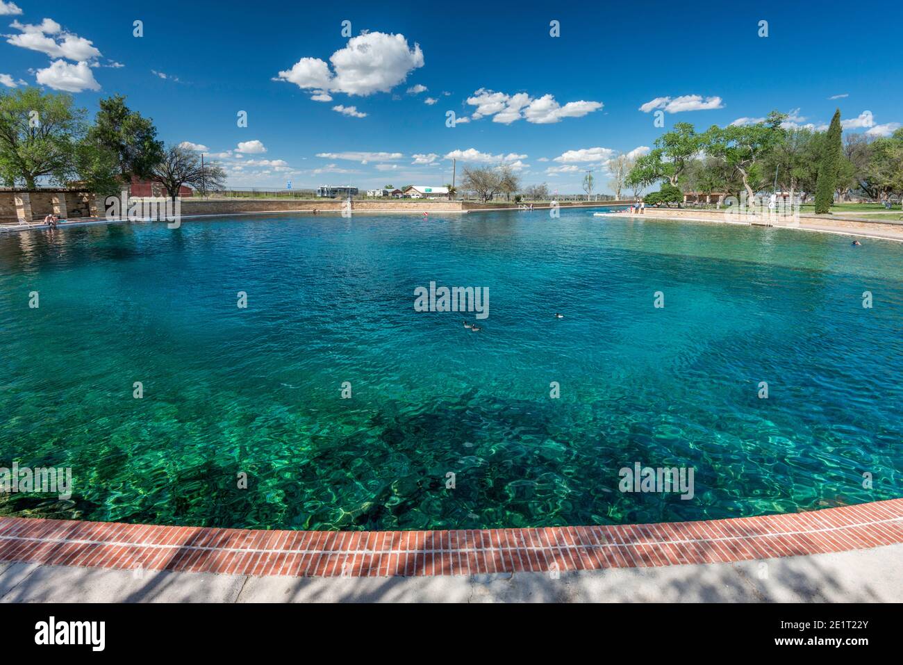 Freshwater pool built around the San Solomon Springs, artesian springs