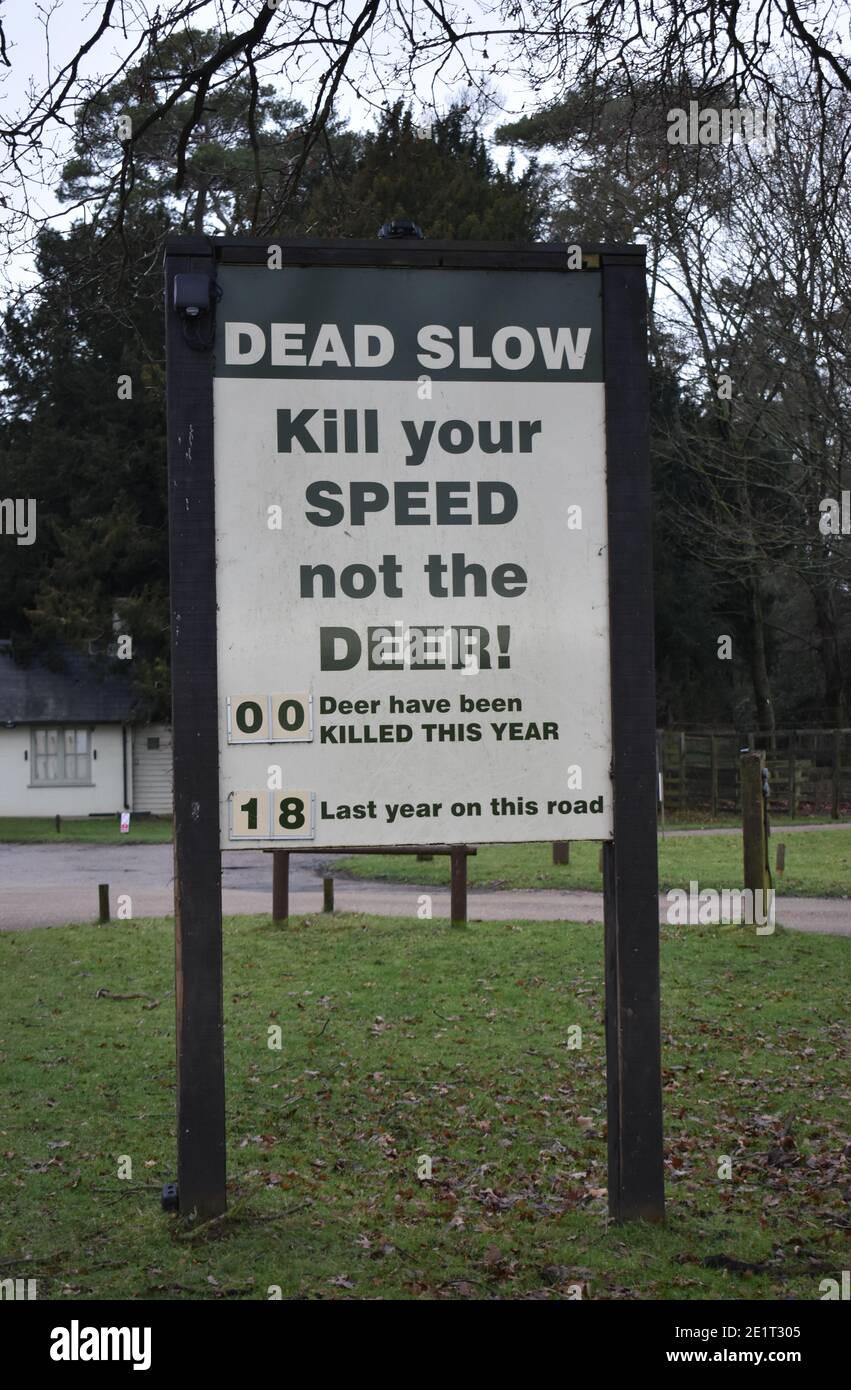 Sign at Woburn Abbey encouraging drivers to go more slowly in order to avoid hitting the deer. Stock Photo