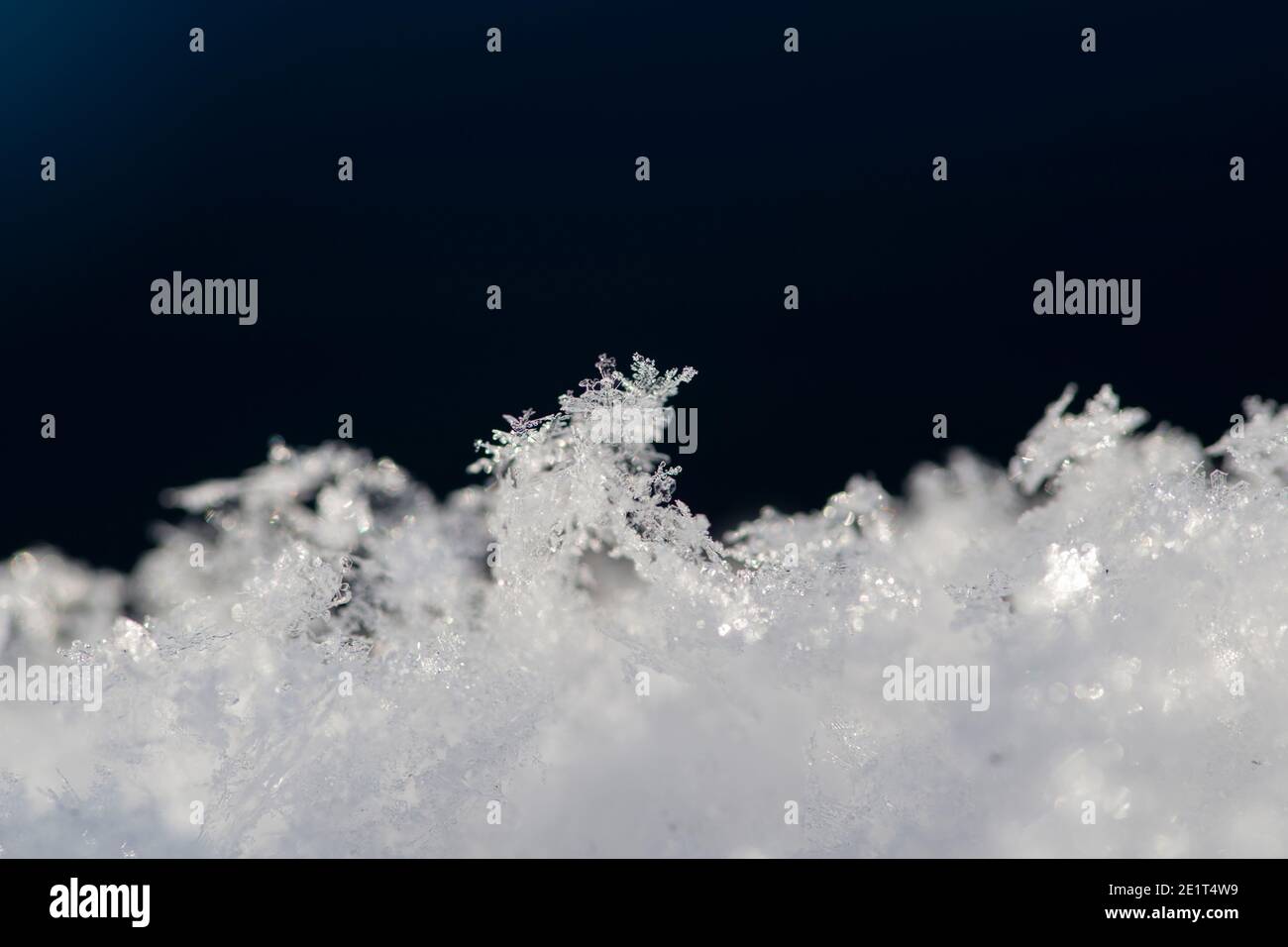 Snowflakes on a blurry background of white snow and dark blue ...