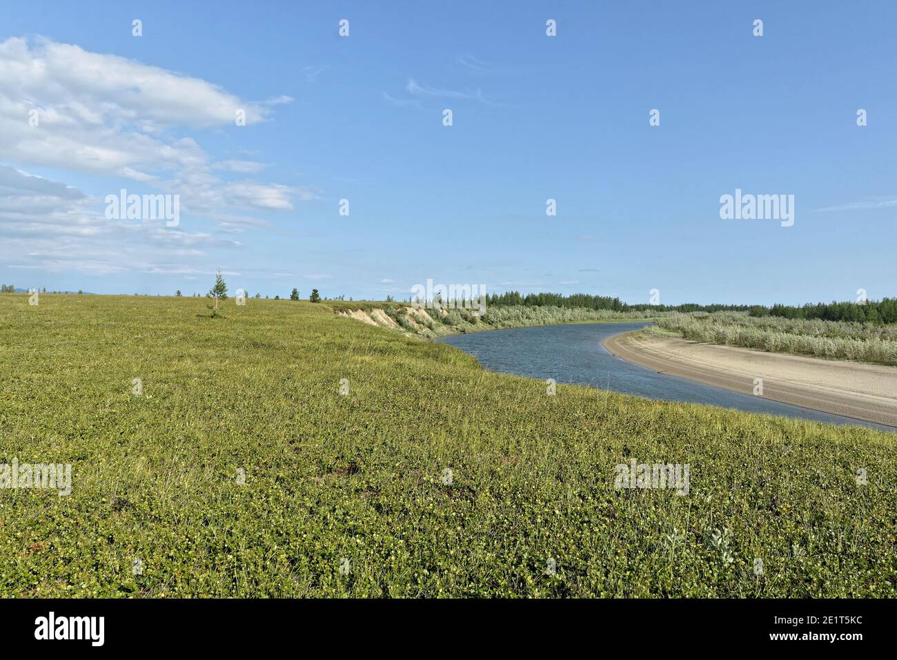 Tundra in the Polar Urals. Summer landscape in a natural park in Yamal. Stock Photo