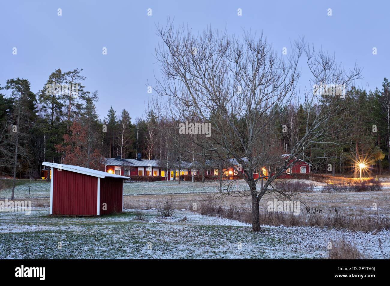 Willow tree next to a red storage cottage in front of Ö-gården in Röskär, Bogesundslandet, outside Vaxholm, Sweden Stock Photo