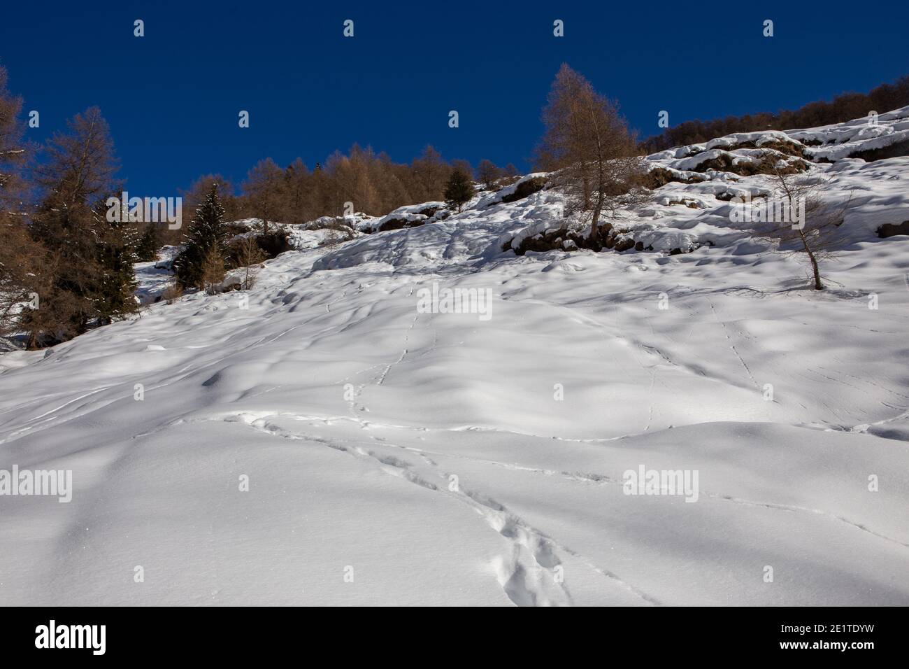 Winter hiking in Valcamonica Stock Photo