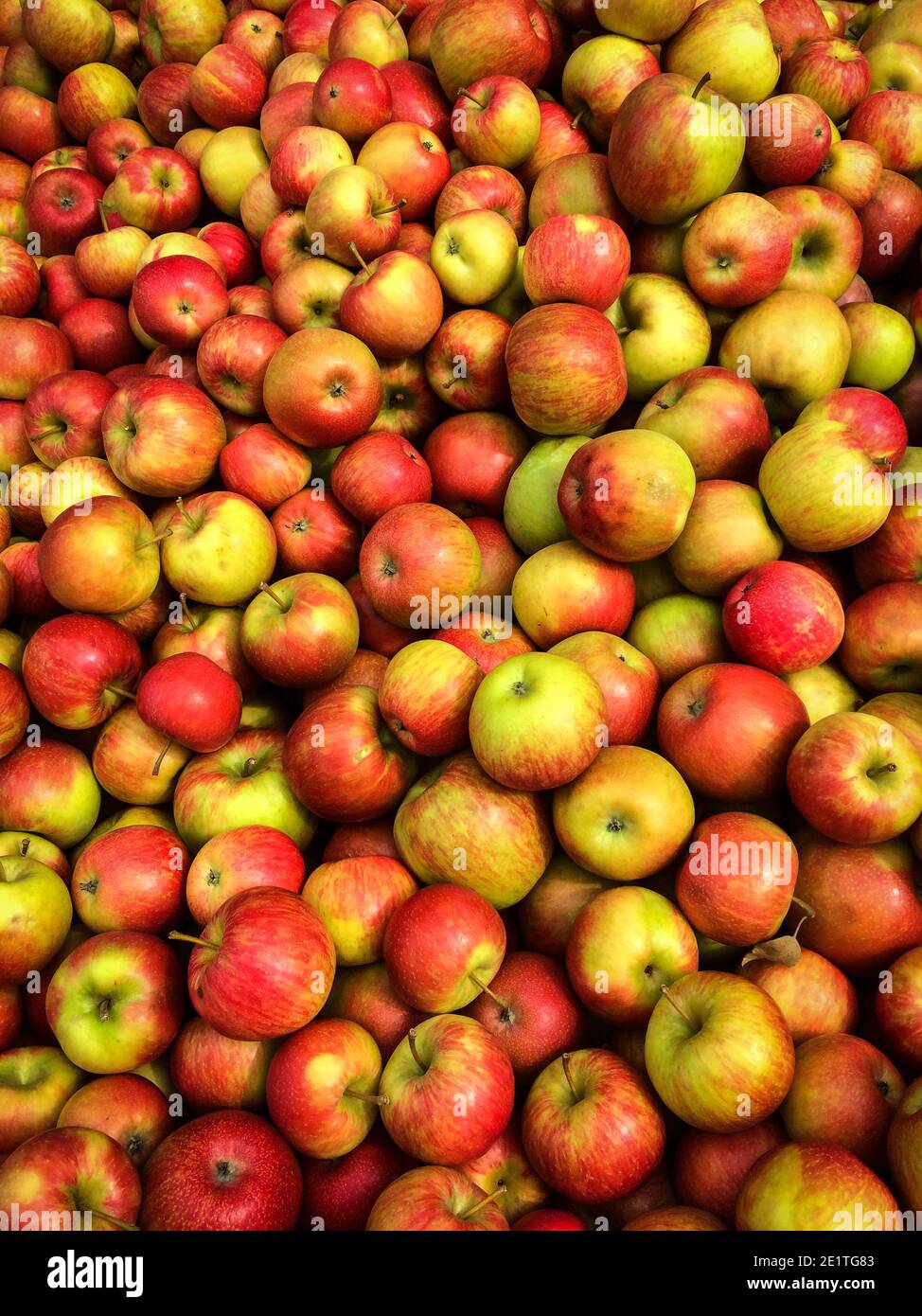 Close up of a stack of apples Stock Photo
