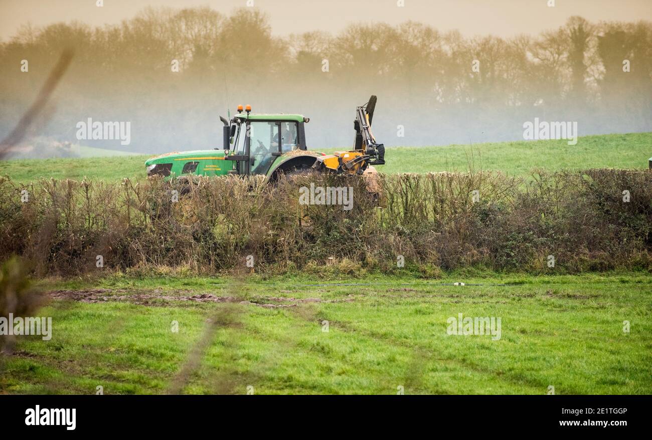 An agricultural contractor in a tractor cuts hedgerows on a farm field in the winter cutting a hedgerow of elm, elder, hawthorn and blackthorn Stock Photo
