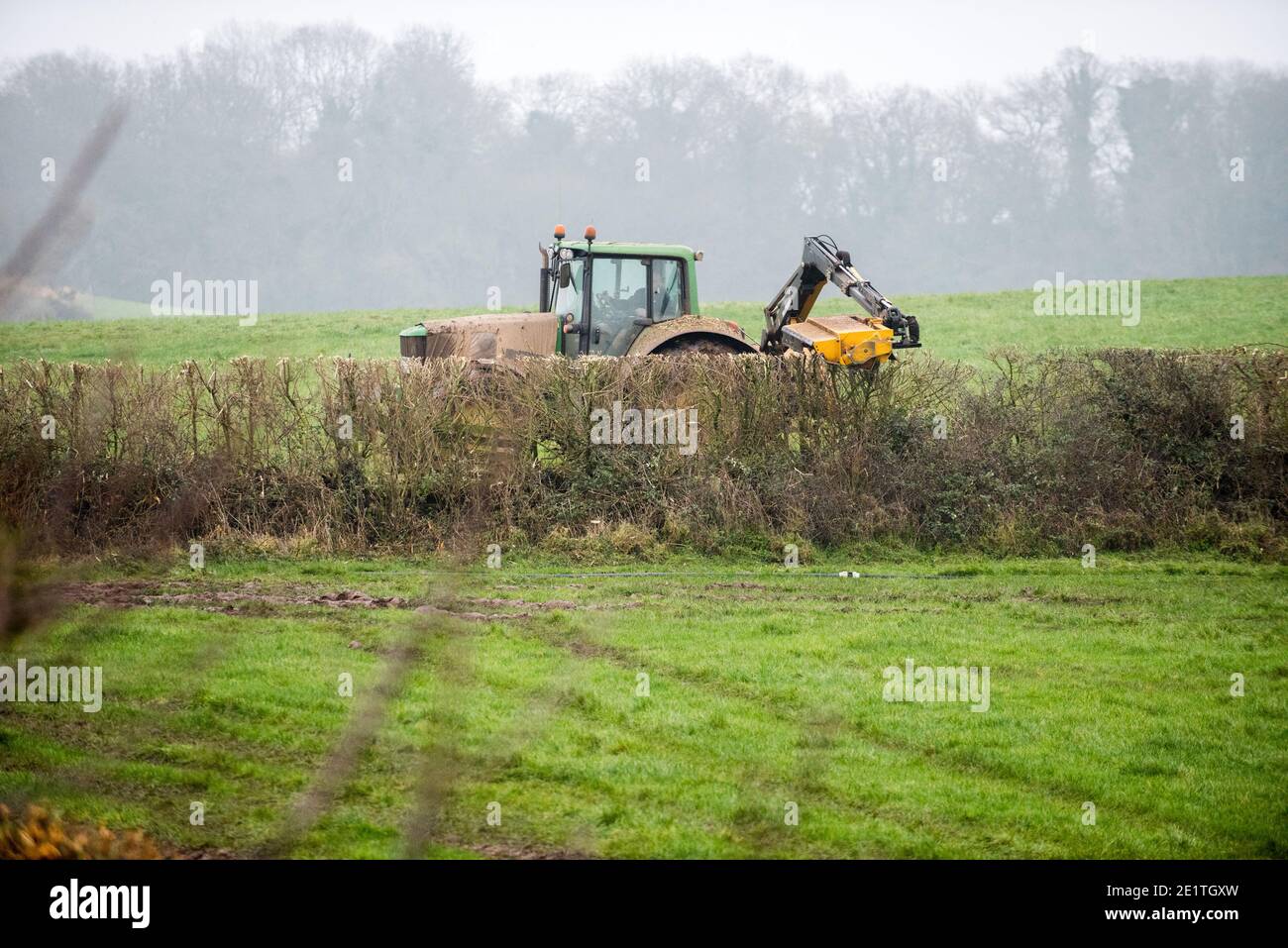 A tractor with a mounted hedge cutter taking the top off a native english field hedgerow with hawthorn, blackthorn and elm in the winter Stock Photo