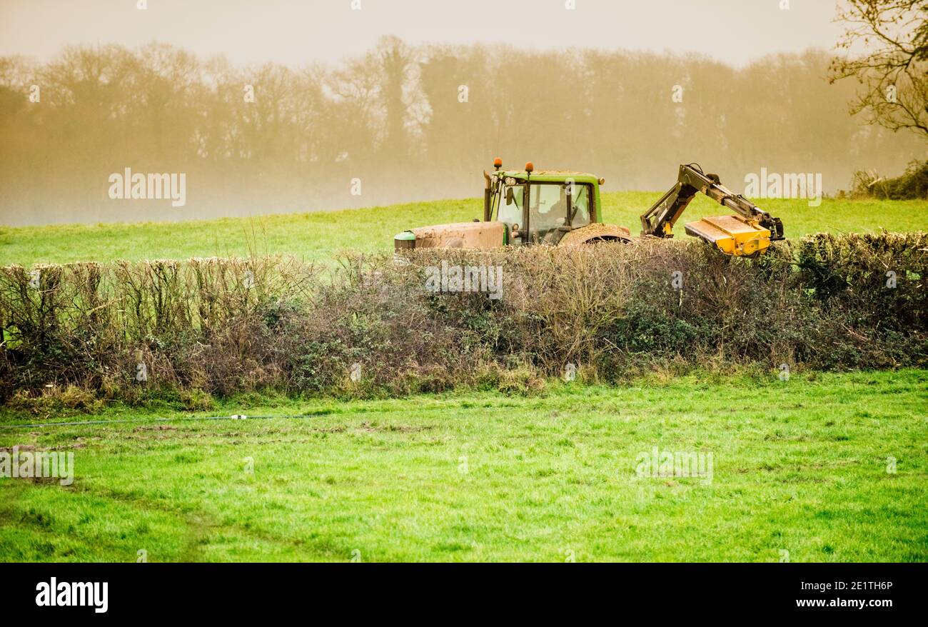 A tractor with a mounted hedge cutter taking the top off a native english field hedgerow with hawthorn, blackthorn and elm in the winter Stock Photo