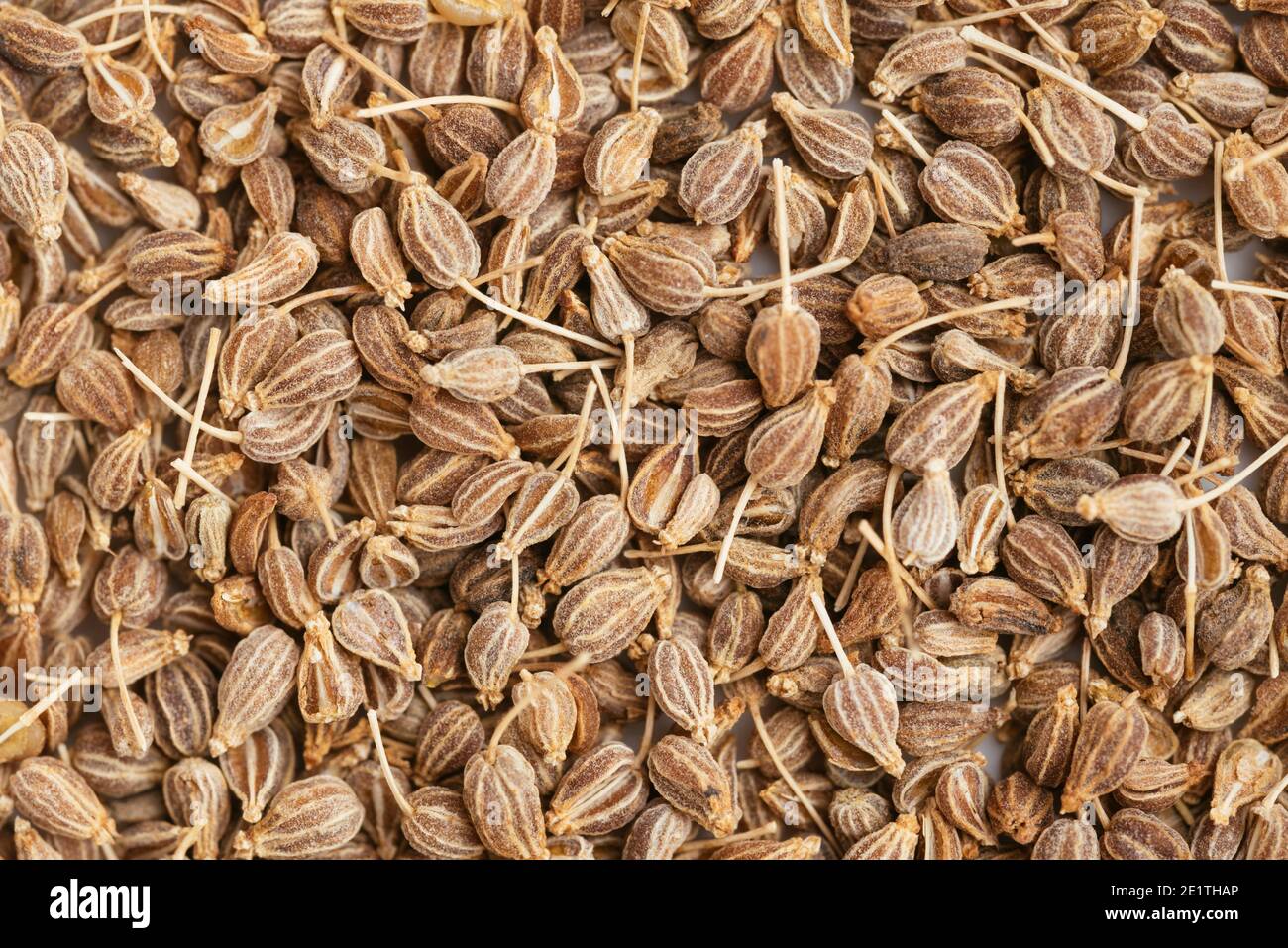 Close-up of anise seeds (Pimpinella anisum) Stock Photo