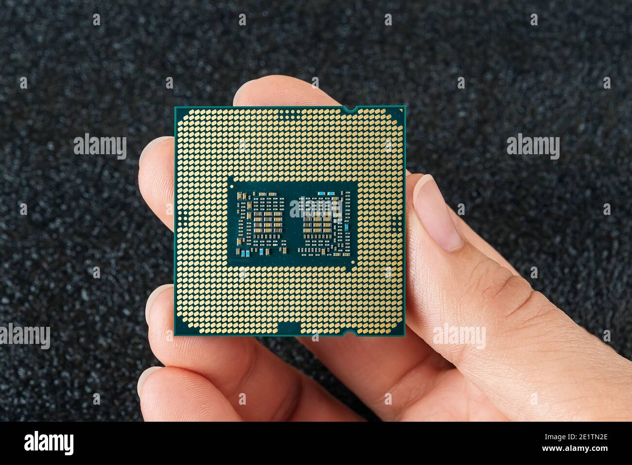 Woman fingers hold pc micro CPU with gold plated contacts against dark background. Modern central processing unit close-up. Desktop computer hardware Stock Photo