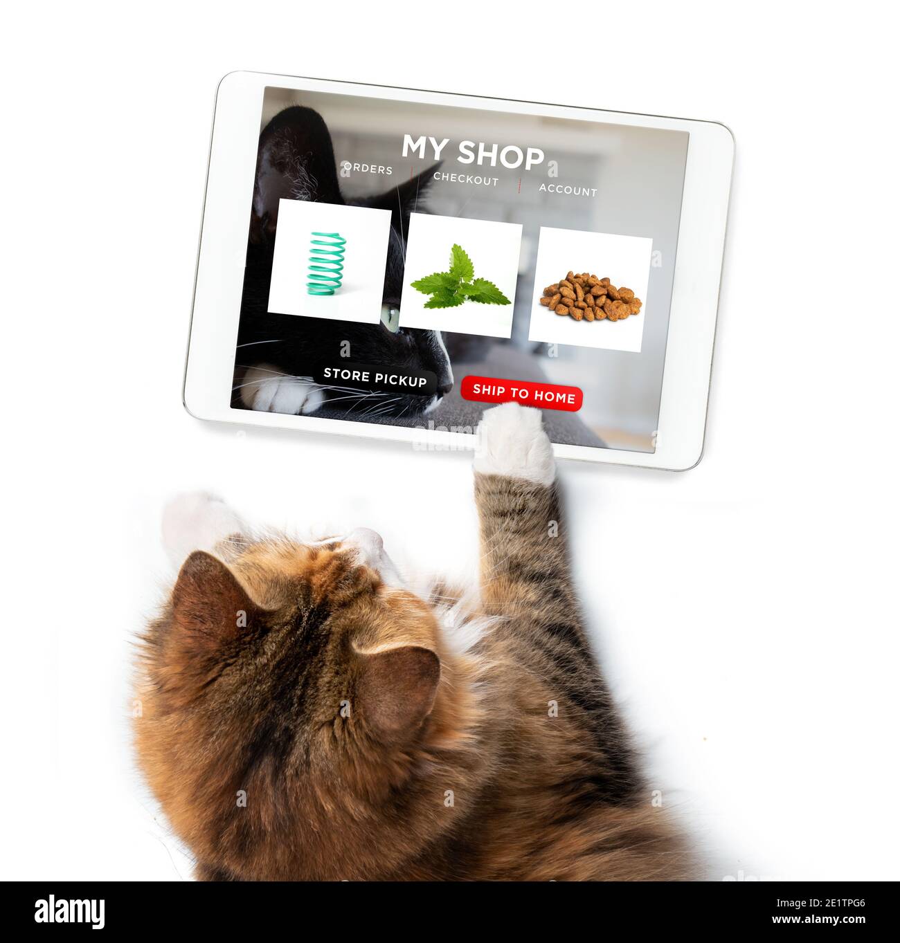 Cat ordering online by internet for home delivery. Paw on tablet with a shopping product selection. Concept for pets using technology. Stock Photo